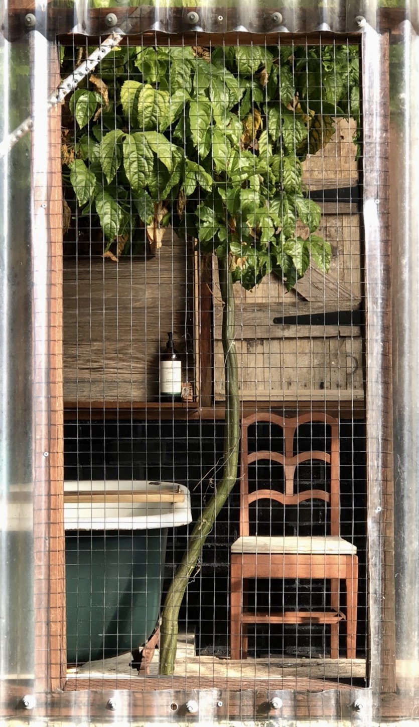 Greenhouse bath viewed through the wire mesh and cascading greenery
