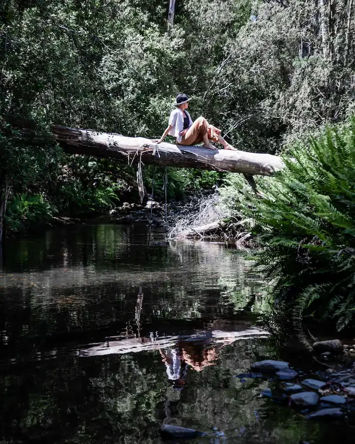 A quiet forest swimming hole below the cabin